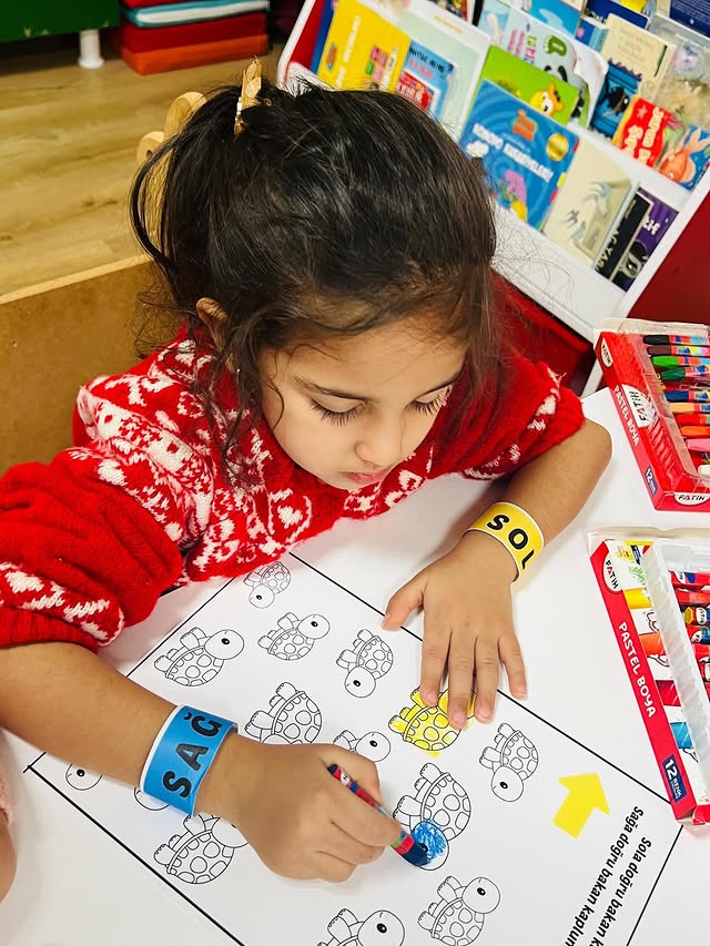 Cizre Kreş ve Anaokulu Farkları