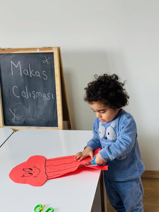 Cizre Montessori Anaokulu ve Eğitim Yaklaşımı